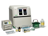 ChemiDoc™ MP Imaging System
