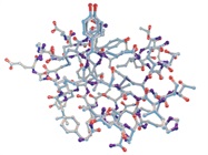 Glycan Monitoring of Therapeutic Monoclonal Antibodies