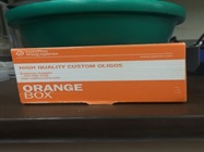Reliable Service For PCR Primer Synthesis