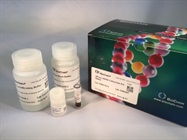 cfPure&trade; Cell Free DNA Extraction Kit