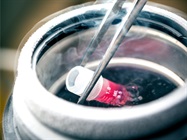 Freeze It Right: Recipes and Products for Cryopreservation Media