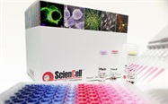 Sale! Save on our most popular cell-based assay kits