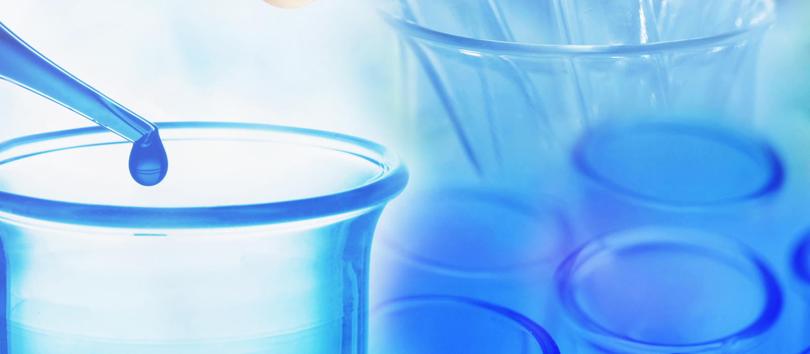  Advances in Testing for ADME/Tox