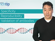 Enhanced Compatibility between Single Molecule RNA FISH and Immunofluorescence