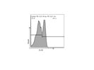 PE/Cy7 Anti-Mouse IL-12/IL-23 P40 Antibody