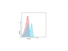 APC Anti-Mouse IL-17A Antibody