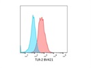 Anti-Mouse TLR2 Antibody