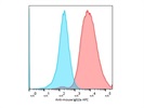 Secondary Anti-Mouse IgG2a APC