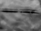 LC3B Antibody - Works Well