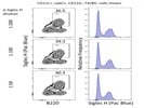 Pac Blue Anti-Siglec H staining for pDCs
