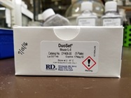 Easy IL-6 ELISA Kit