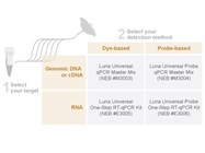 Luna® Universal qPCR & RT-qPCR Mixes
