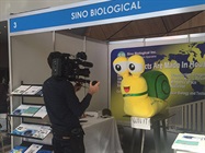 Collect Snail Cards, Summon Giant Sino Biological Mascot!