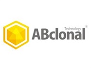 Free custom antibody preparation