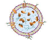 MagCapture™ Exosome Isolation Kit PS