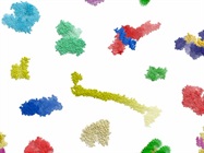 Pulling Out Problem Proteins