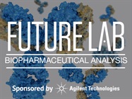 Integrated Peptide Mapping of Monoclonal Antibodies
