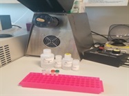 ZYMO Fecal DNA Extraction Kit