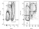 Review Of CD71 PE Staining On RBC And Its Progenitors
