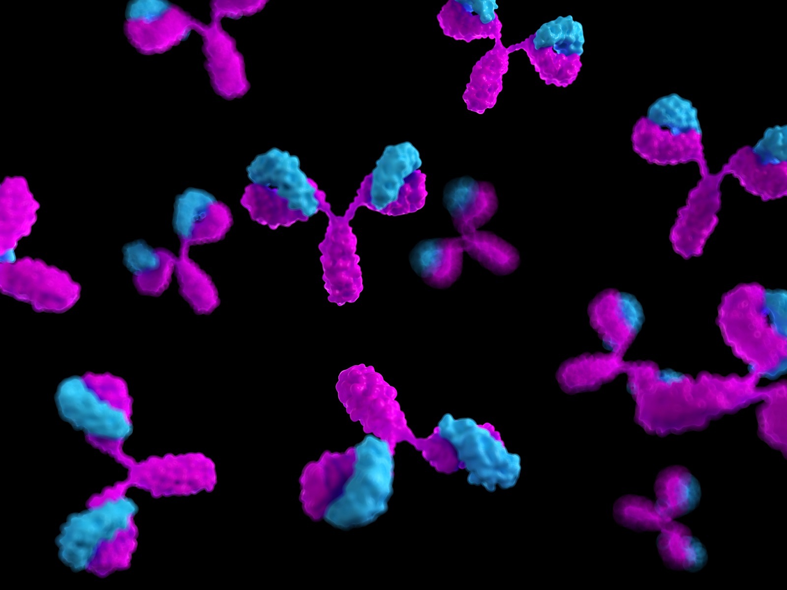  Antibody Reproducibility