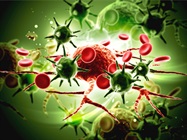 Diversity in Cell Signaling Tools for Cancer