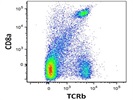 The Antibody Stains CD8+ T Cells Very Well