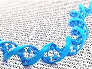 Boosting Sequencing Efficiency with Target Enrichment
