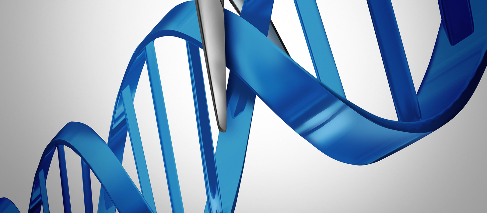  Background of CRISPR/Cas9 technology