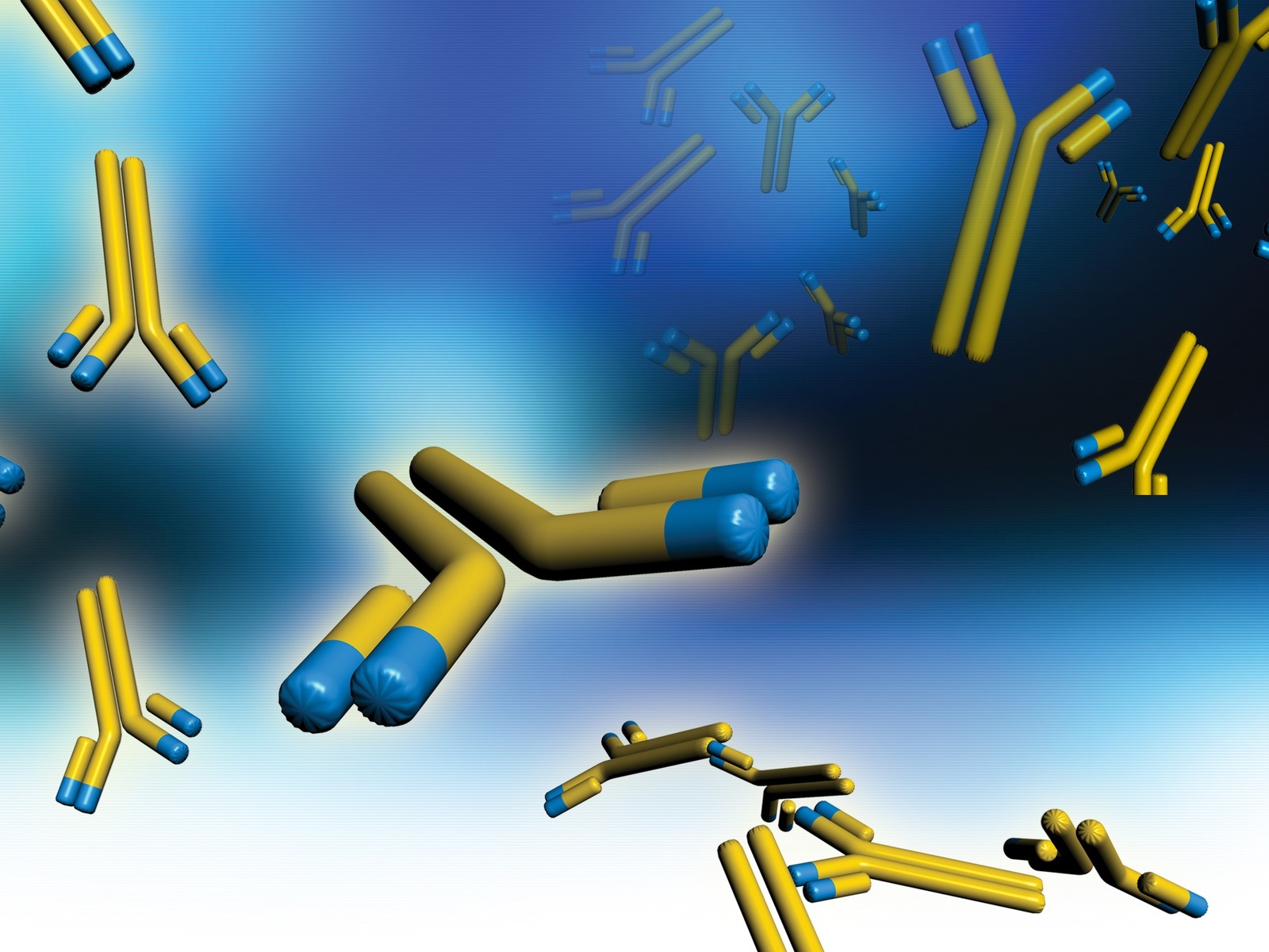  Knockout/Knockdown Validation: GeneTex Incorporates Negative Controls into the Quality Assurance Process
