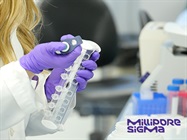 Watch Video: MilliporeSigma Antibody Development & Validation
