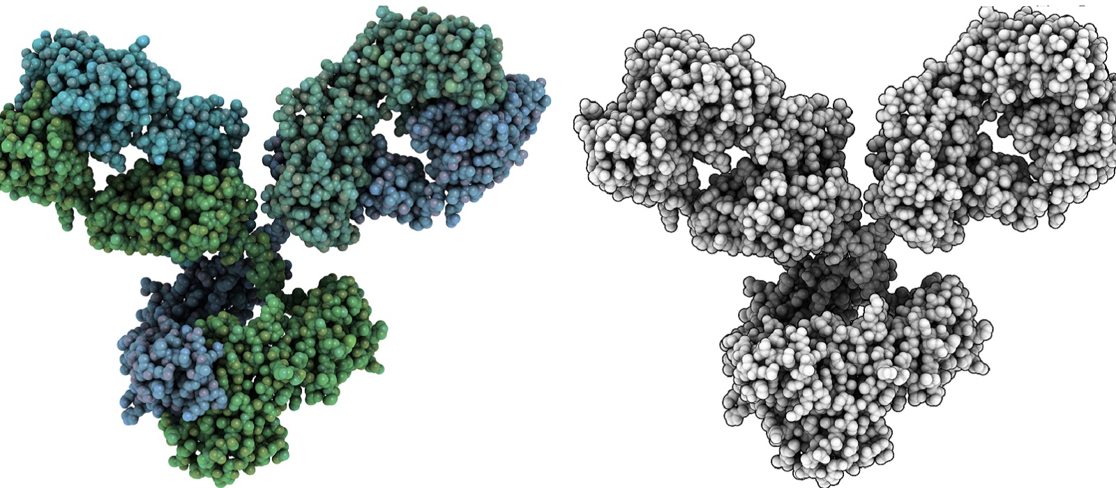  Free Protocol Guides