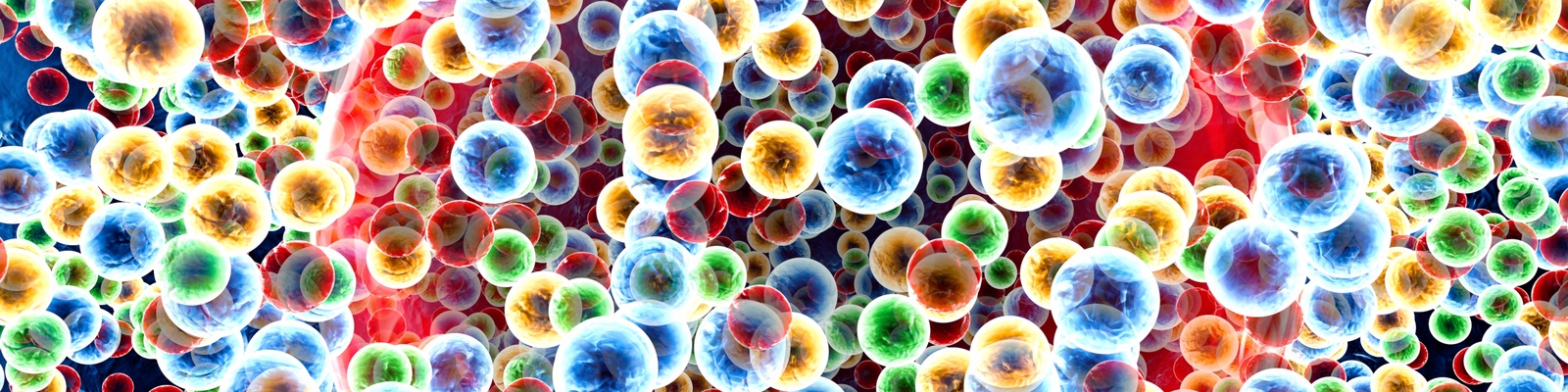  Stem Cells in 3D