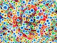 Stem Cells in 3D