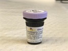 Good Mouse CCR2 Antibody