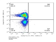 Reliable CD45.1 Flow Cytometry Antibody