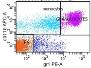 Good Antibody For Granulocyte Detection