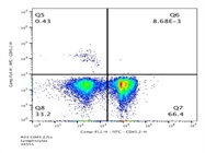 Consistent Results with CD45.2 Antibody