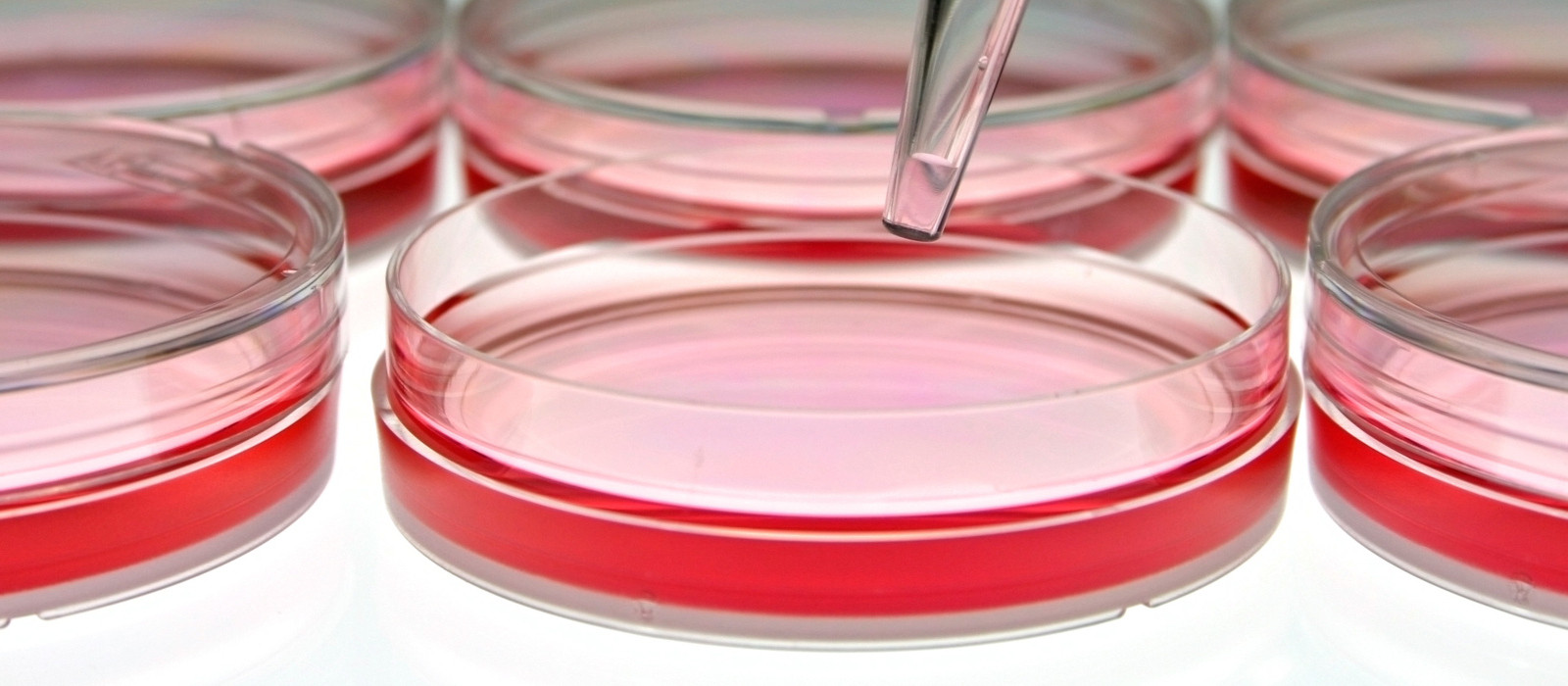  The Basics of Class II Biosafety Cabinets
