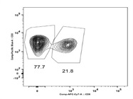 Human CD8 APC-Cy7 for FACS