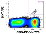 PE-Vio770 Anti-CD3 Human