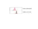 Phosphorylation Of STAT3 In Mouse B Cells