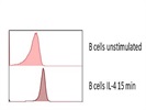 Phosphorylation Of STAT6 In Mouse B Cells