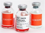 Corning® Matrigel® Matrix