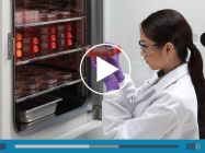 CO2 Incubators featuring Constant Contamination Control