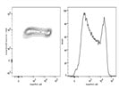 Phospho-S6 PE For FACS