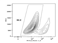 Live/Dead Red for Flow Cytometry