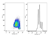 CellTrace Violet Cell Proliferation Kit for FACS