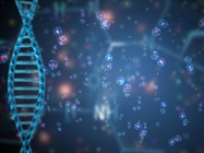 Using Flow to Monitor Cell Cycle