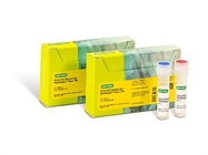 StarBright™ Blue 700 Fluorescent Secondary Antibodies