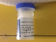 Canine Immunophenotyping with CD14
